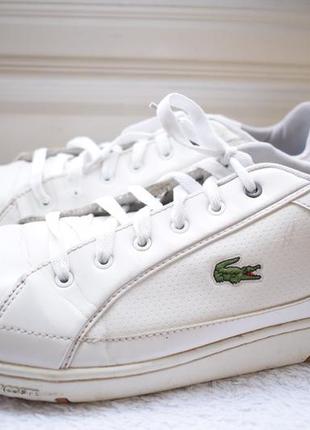 Кросівки кеди мокасини снікерси лакосте lacoste р. 47 30,2 см6 фото