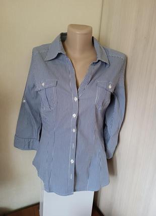 Жіноча блуза у тонку смужку від h&m/ літня блуза2 фото