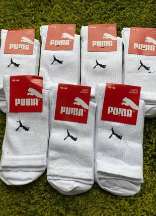 Білі шкарпетки puma