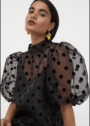 Плаття h&m