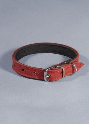 Ошейник кожаный "деликат" с подкладкой "неопрен"  ширина 12 мм, длина 20-25 см, красный