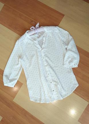 Блуза m&co розмір 14