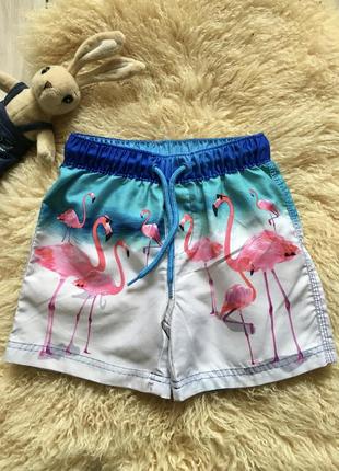 Яркие пляжные шорты фламинго