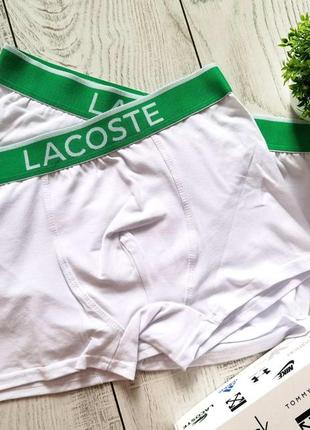 Трусы мужские lacoste (  можна набором можна поштучно)2 фото