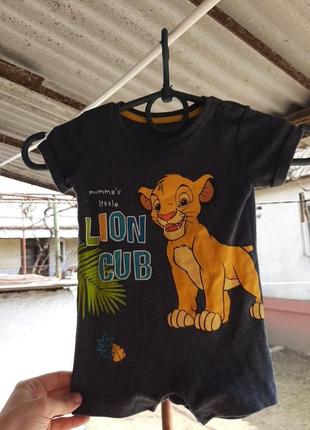 Пісочник 6/9 м