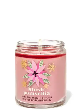 Ароматическая свеча blush poinsettia bath and body works