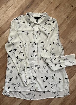 Рубашка, new york, 150 грн