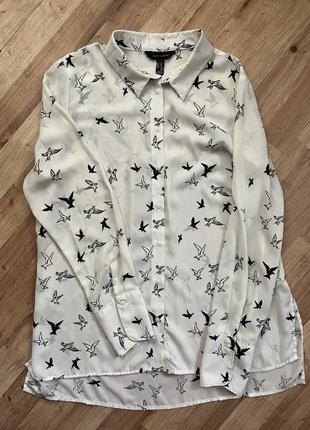Рубашка, new york, 150 грн5 фото