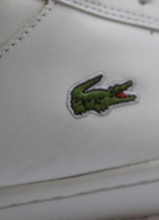 Шкіряні + кожзам кросівки кросівки кеди мокасини сліпони lacoste р. 43 27,7 см3 фото