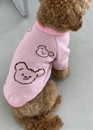 Свитер вязаный для собак и котов натуральный