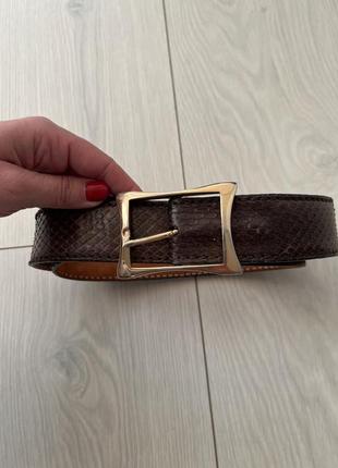 Ремень из кожи питона reptiles house 🇮🇹