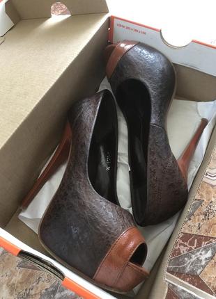 Туфлі шкіряні коричневі camellia