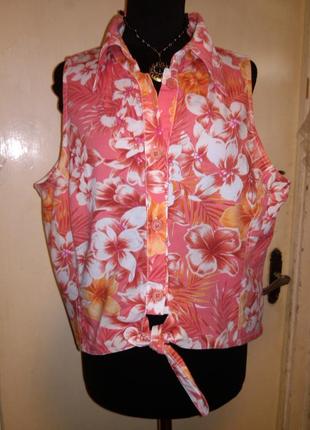 Натуральная-хлопок-стрейч,блузка-топ на узел,большого размера,турция,сост.новой