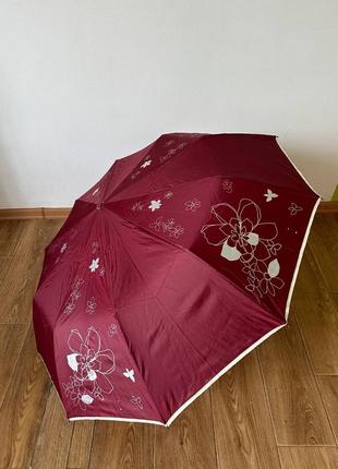 Зонт зонт зонта4 фото