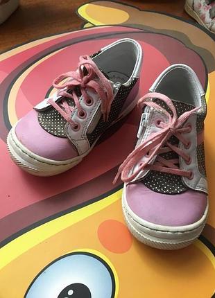 Кеди дівчачі