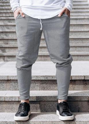 Штаны мужские базовые со змейкой серые / брюки штани чоловічі базові із змійкою сірі