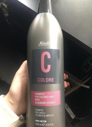 Шампунь для окрашенных волос с экстрактом черники mirella