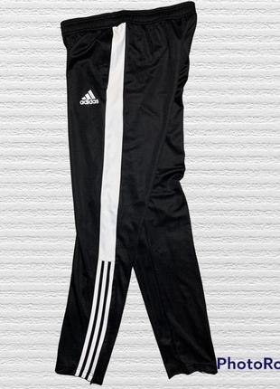 Тренувальні штани adidas h59992 штани спортивні adidas4 фото