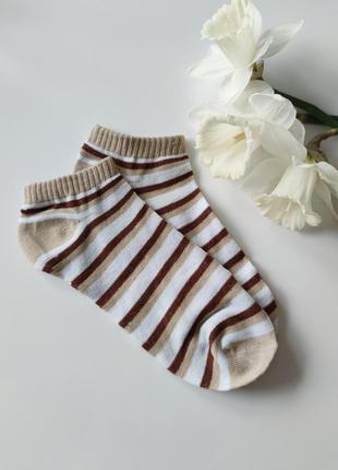 Шкарпетки жіночі літні, шкарпеточки в смужку низькі 0462