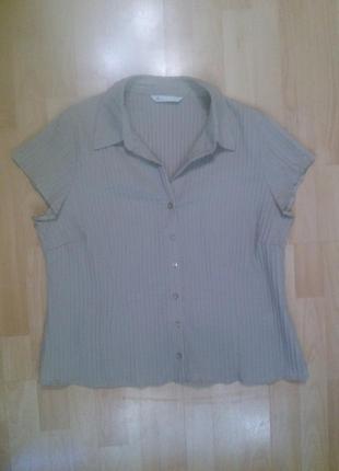 Фірмова блузка