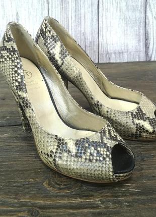 Стильні туфлі bagarr, italy, шкіра