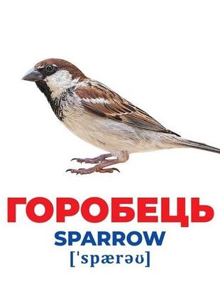 Набор развивающих карточек гений с пеленок "птицы украины" ранок 10107193у, 17 карточек2 фото