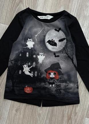 Лонгслів реглан