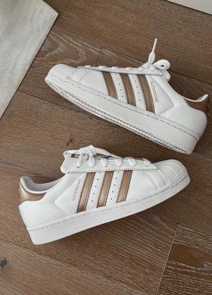 Кросівки adidas superstar