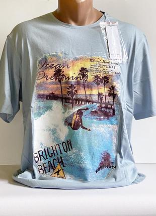 Футболка чоловіча altitudine