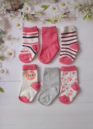 Шкарпетки для дівчинки kuniboo