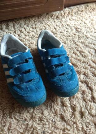 Adidas dragon