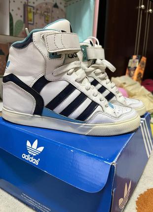 Кросівки adidas