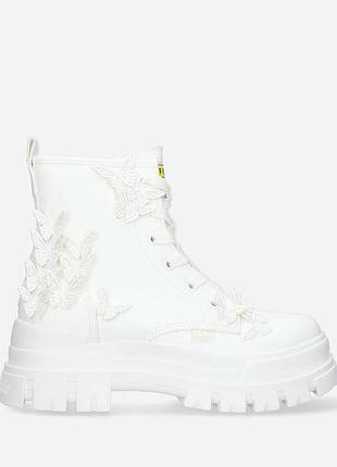 Buffalo aspha rld butterlies vegan