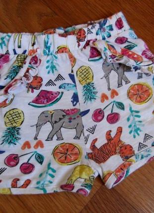 Шортики nutmeg на 2-3 роки
