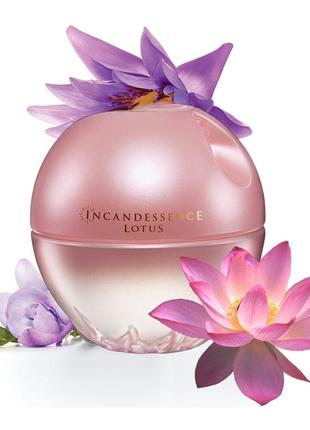 Incandessence lotus