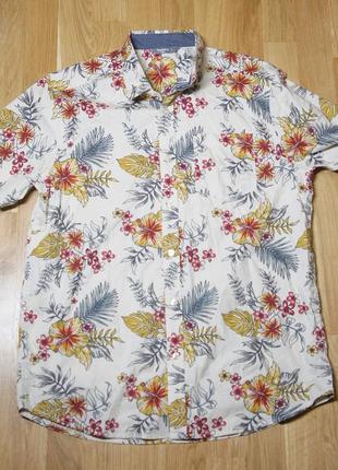 Nutmeg чоловіса сорочка рубашка гавайка літня літо пляжна ретро retro beach summer hawaii  o'neill quicksilver billabong