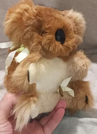 Коала музична made in australia