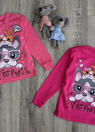 Водолазка, реглан