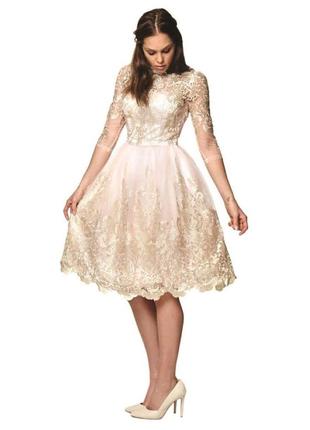 Рожеве плаття міді, розовое пудровое платье миди, pink dress chi chi london