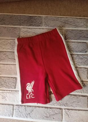 Шорти котон фірмові