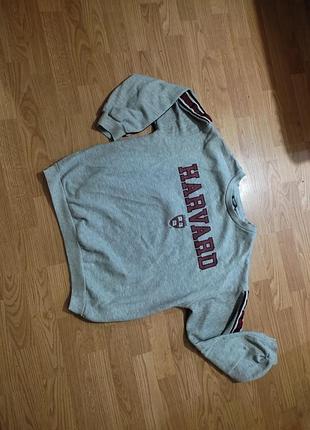 Реглан свитшот кенгуру harvard s оверсайз 10