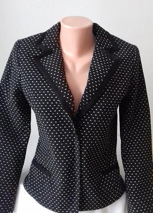 Піджак брендовий