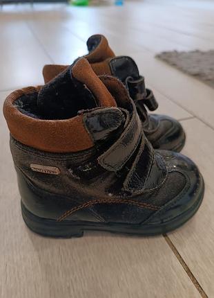 Ricosta сапоги 3