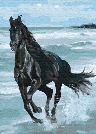 Картина по номерам чёрная лошадь melmil