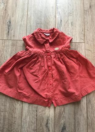 Сукня/сукні