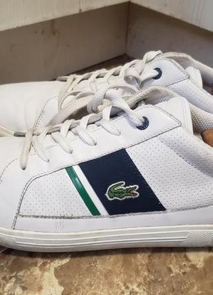 Кроссовки, кеды lacoste, р. 44,5. состояние очень хорошее