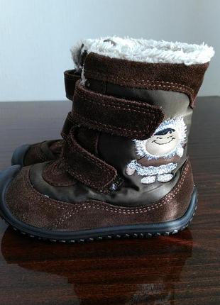 Демі чобітки elefanten