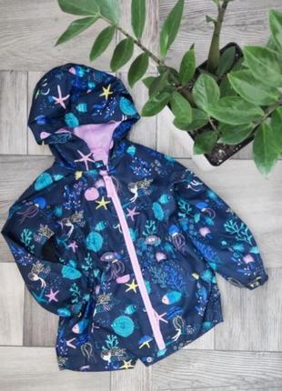 Сильна вітровка