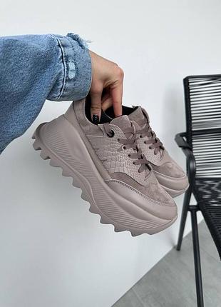 Ця пара красенів точно стане твоєю улюбленою 😍