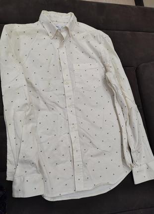 Сорочка чоловіча в цяточку